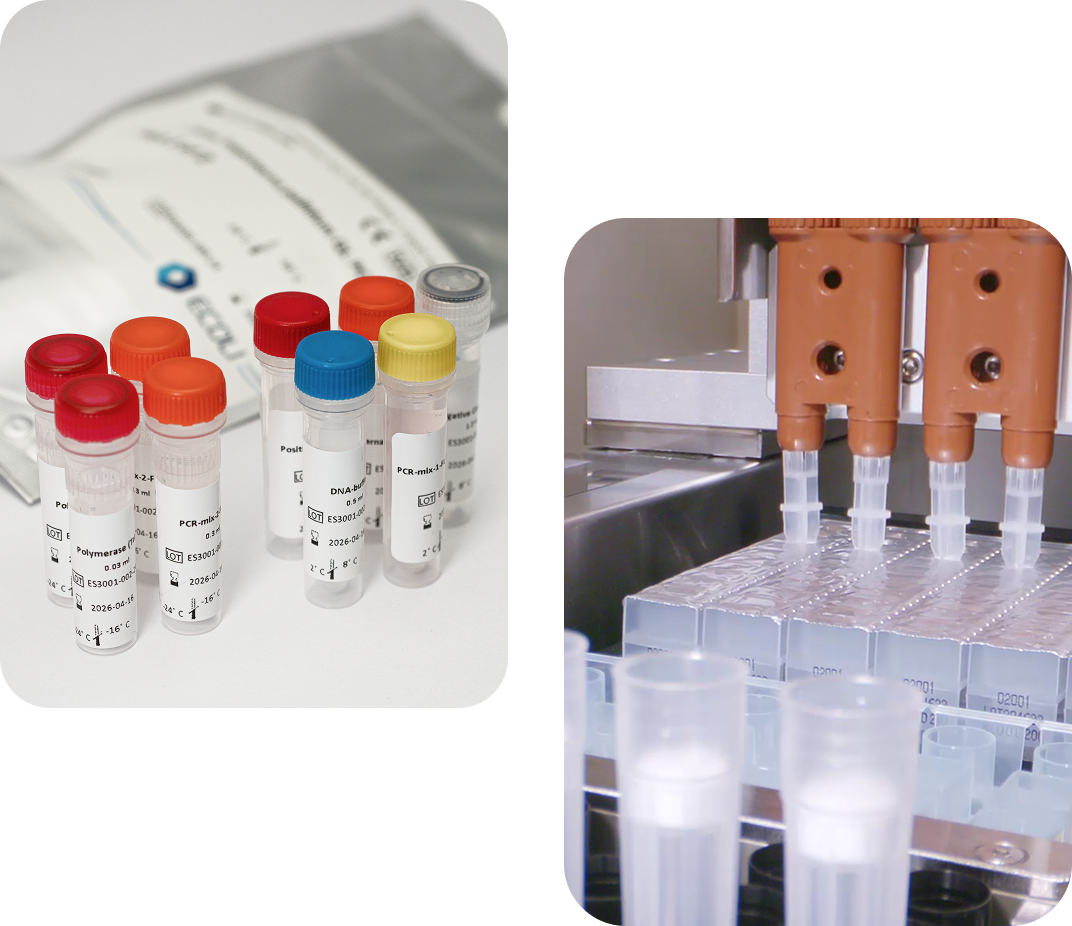 Explore our Catalogue